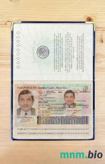 Meksyk zdjęcie do paszportu pliki PSD, skan i fotografowany obraz